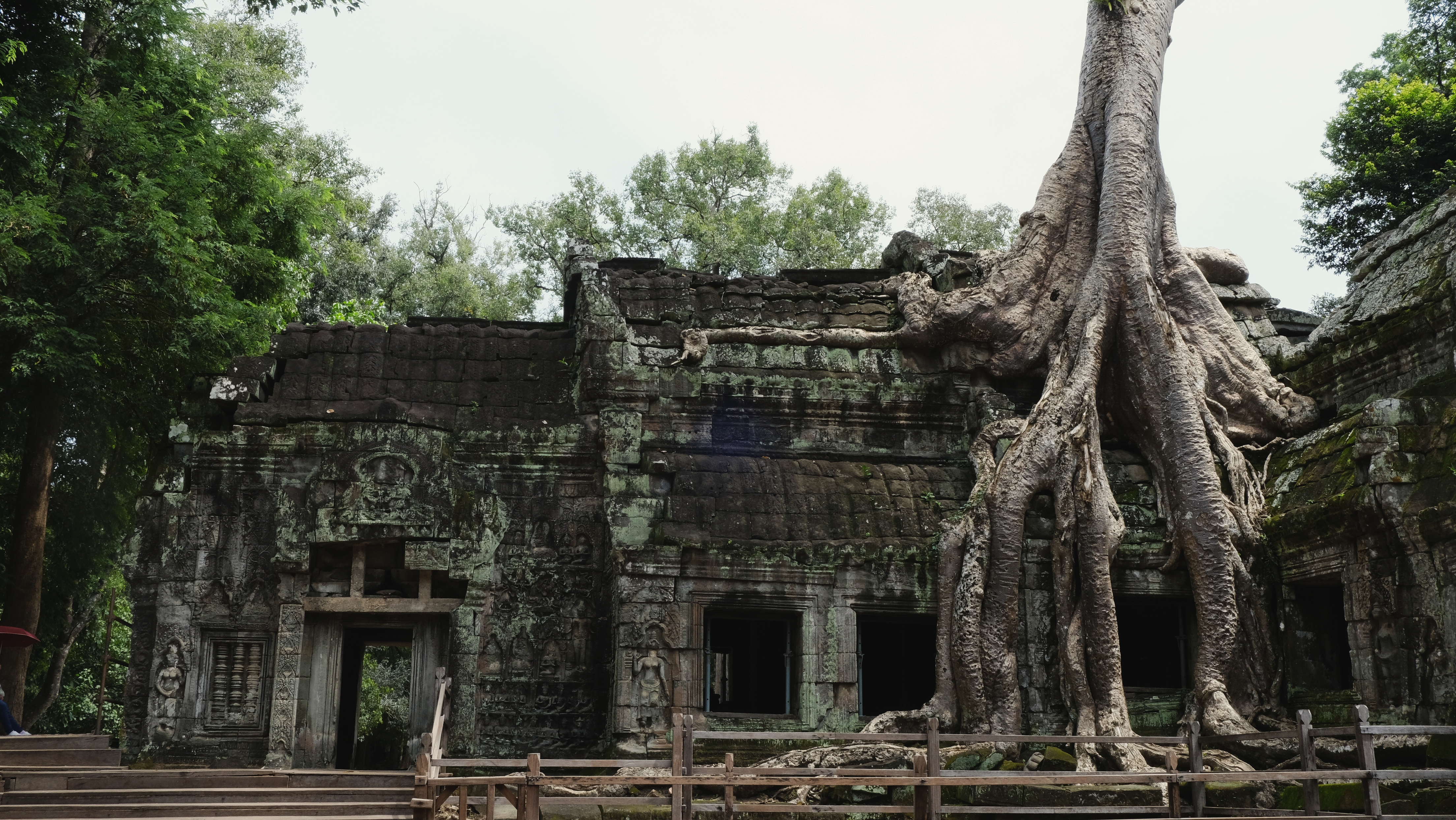 Ta Prohm - Angkor Cambogia